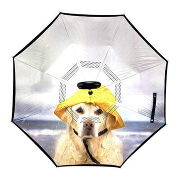Reverse Umbrella | Rain Dog